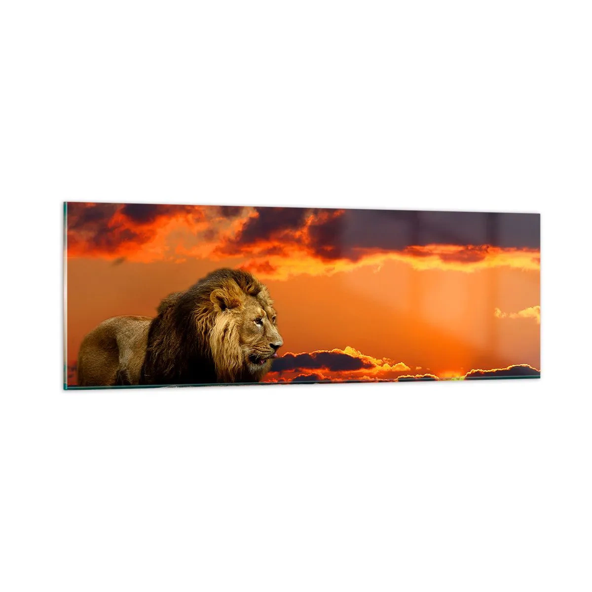 Impression sur verre - Image sur verre - Le roi de la nature - 90x30 cm