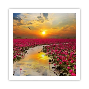 Affiche - Poster - La vie secrète du lac - 60x60 cm