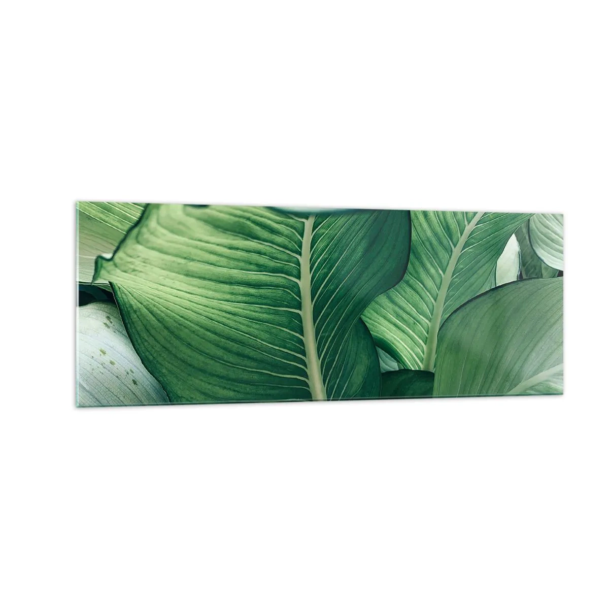 Impression sur verre - Image sur verre - Feuilles vertes avec des détails et une structure expressifs - 140x50cm - Une vie intensément verte - Décoration murale moderne pour le salon et la chambre ARTTOR