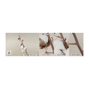 Échantillon de Papier Peint Premium Canvas - A la source de la douceur - Fleur de coton, Nature, Coton - 100x30 cm