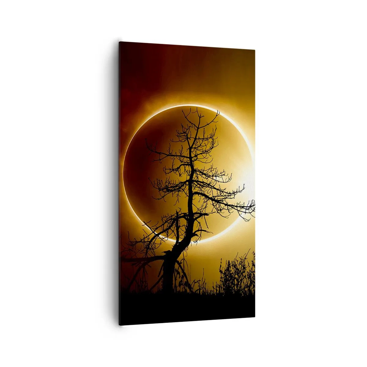 Impression sur toile - Image sur toile - Éclipse totale - 65x120 cm