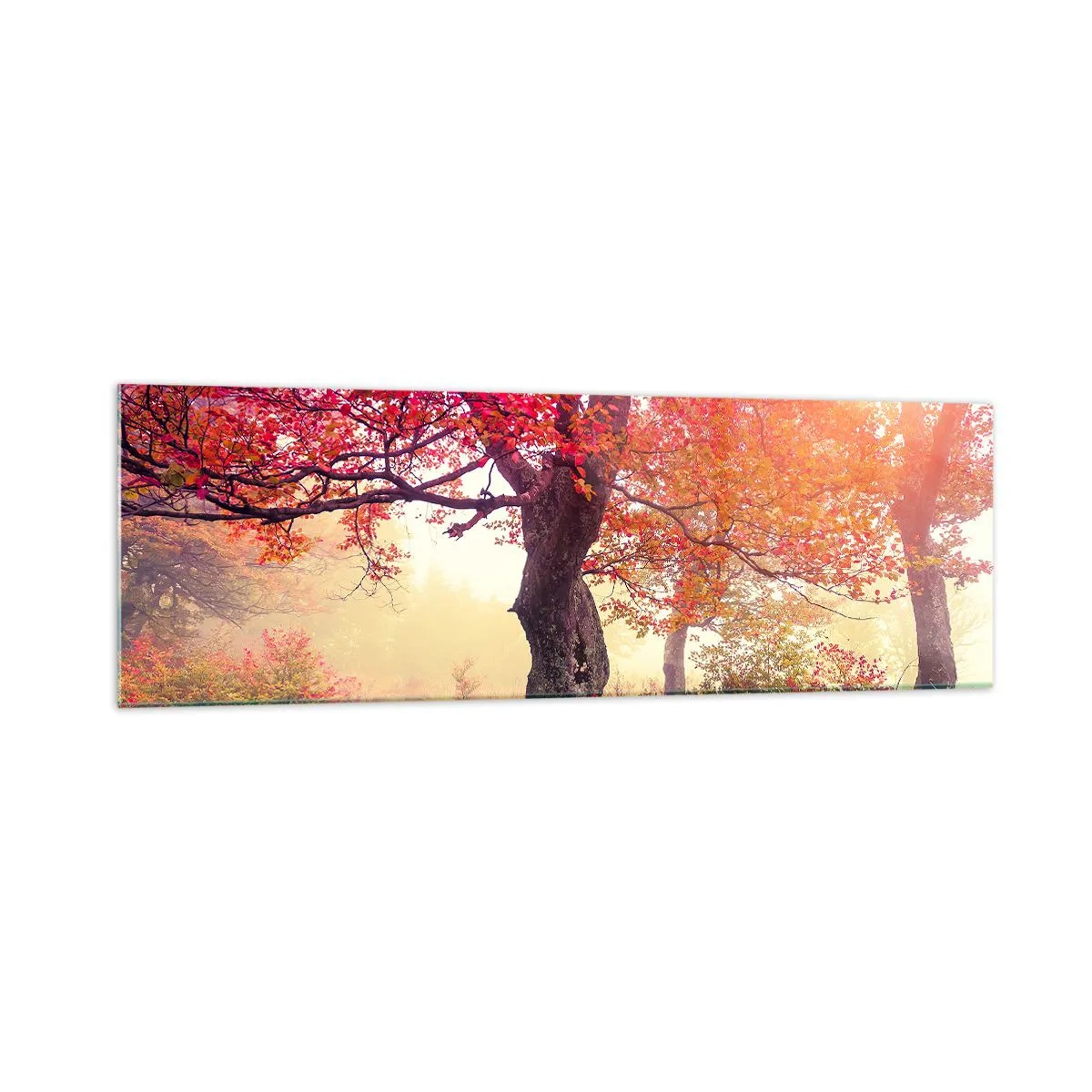 Impression sur verre - Image sur verre - Paysage d'automne avec des arbres aux couleurs intenses - 160x50cm - Frénésie de floraison - Décoration murale moderne pour le salon et la chambre ARTTOR