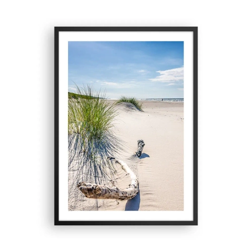 Affiche dans un cadre noir - Poster - Plage avec dunes, herbe et branches au soleil - 50x70cm - La plus belle? La Baltique - Décoration murale moderne pour le salon et la chambre ARTTOR