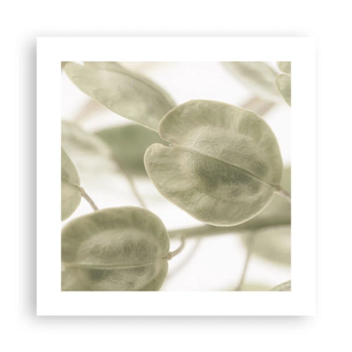 Affiche - Poster - Au commencement il y avait des feuilles... - 40x40 cm