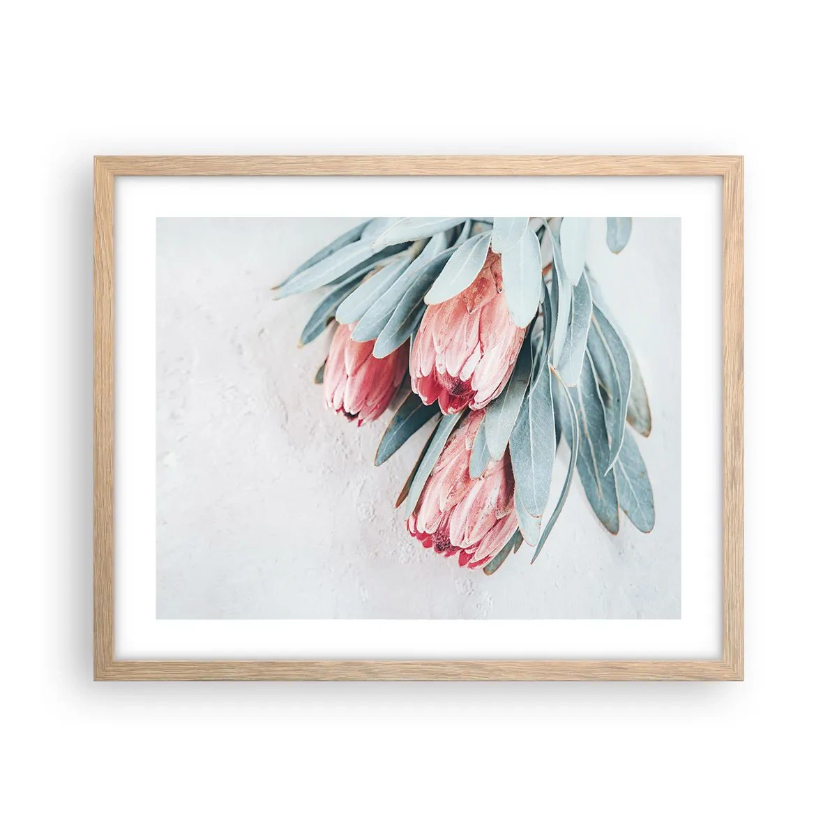 Affiche dans un chêne clair - Poster - Honte de leur propre beauté - 50x40 cm