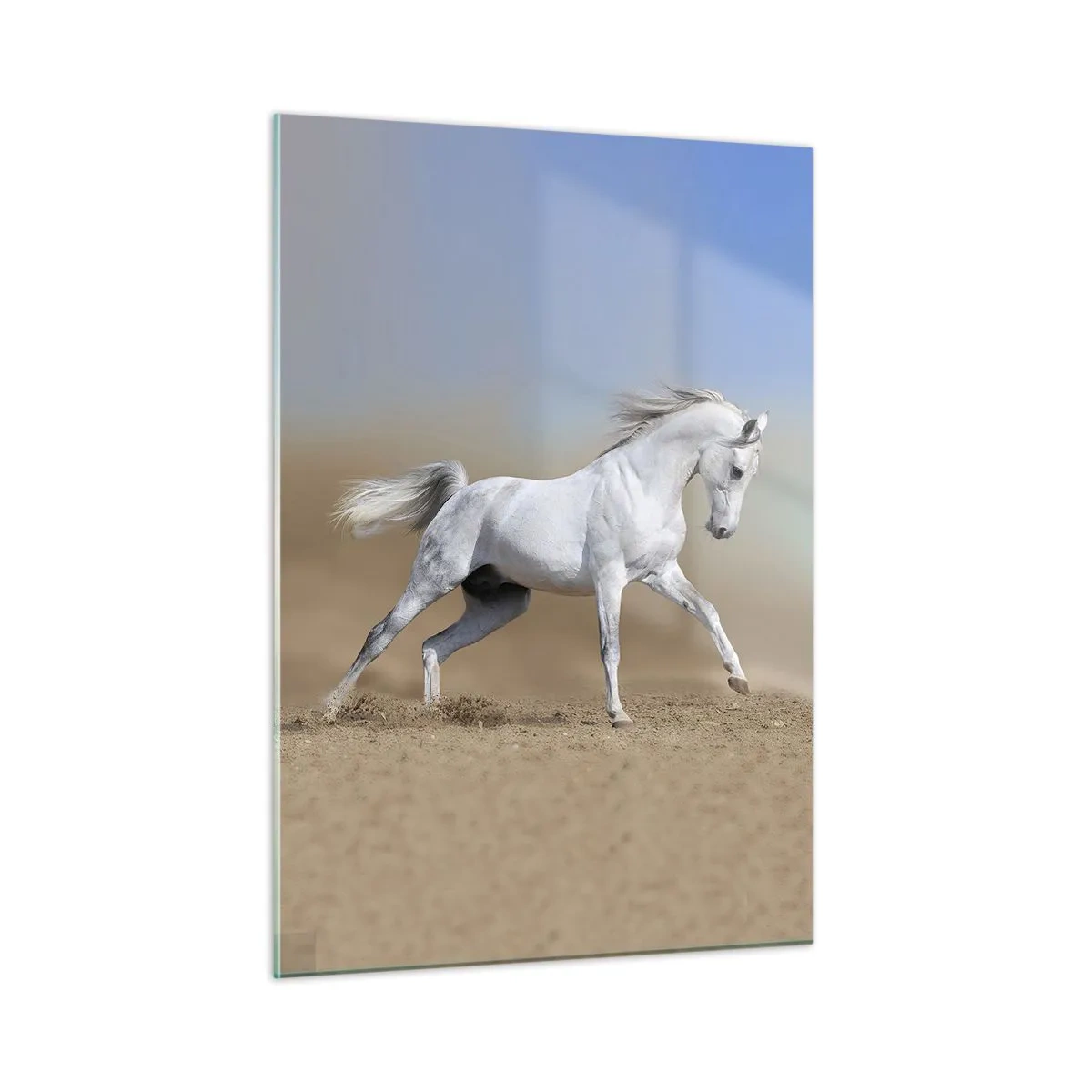 Impression sur verre - Image sur verre - Un cheval blanc galopant sur le sol sablonneux - 50x70cm - Le plus beau conte de fées arabe - Décoration murale moderne pour le salon et la chambre ARTTOR