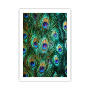Affiche - Poster - Plumes de paon aux couleurs intenses - 50x70cm - Un regard de paon - Décoration murale moderne pour le salon et la chambre ARTTOR
