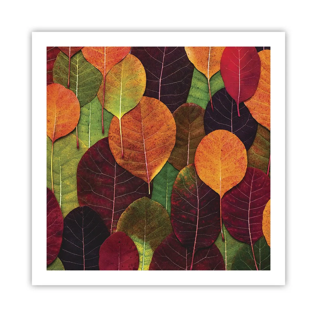 Affiche - Poster - Mozaique printannière - 60x60 cm