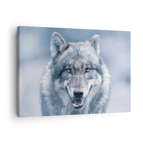 Impression sur toile - Image sur toile - Un loup au regard intense dans un paysage hivernal - 70x50cm - Relèverez-vous le défi ? - Décoration murale moderne pour le salon et la chambre ARTTOR
