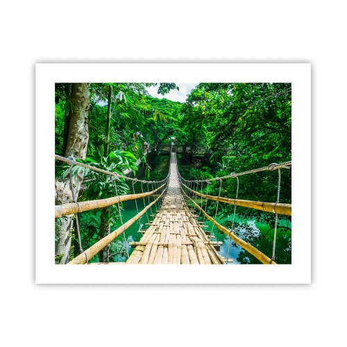Affiche - Poster - Pont de singe en pleine nature - 50x40 cm