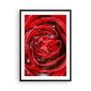 Affiche dans un cadre noir - Poster - Gros plan d'une rose rouge avec des gouttes d'eau - 50x70cm - Dans les gouttes de rosée - Décoration murale moderne pour le salon et la chambre ARTTOR