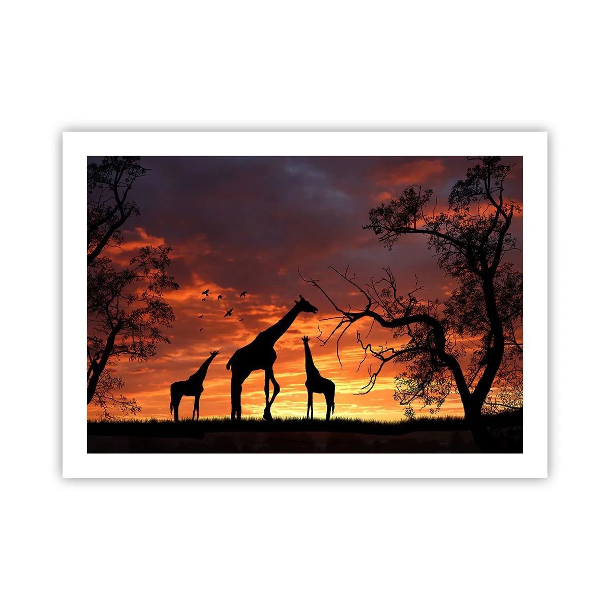 Affiche - Poster - Un petit dîner avec vos proches - 70x50 cm