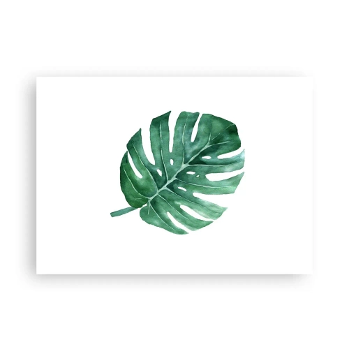 Affiche - Poster - Concept vert - 70x50 cm