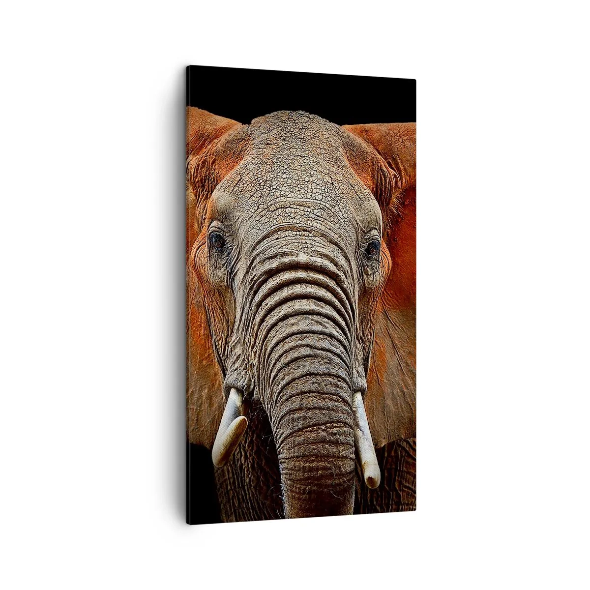 Impression sur toile - Image sur toile - Je suis sauvage, et toi? - 45x80 cm