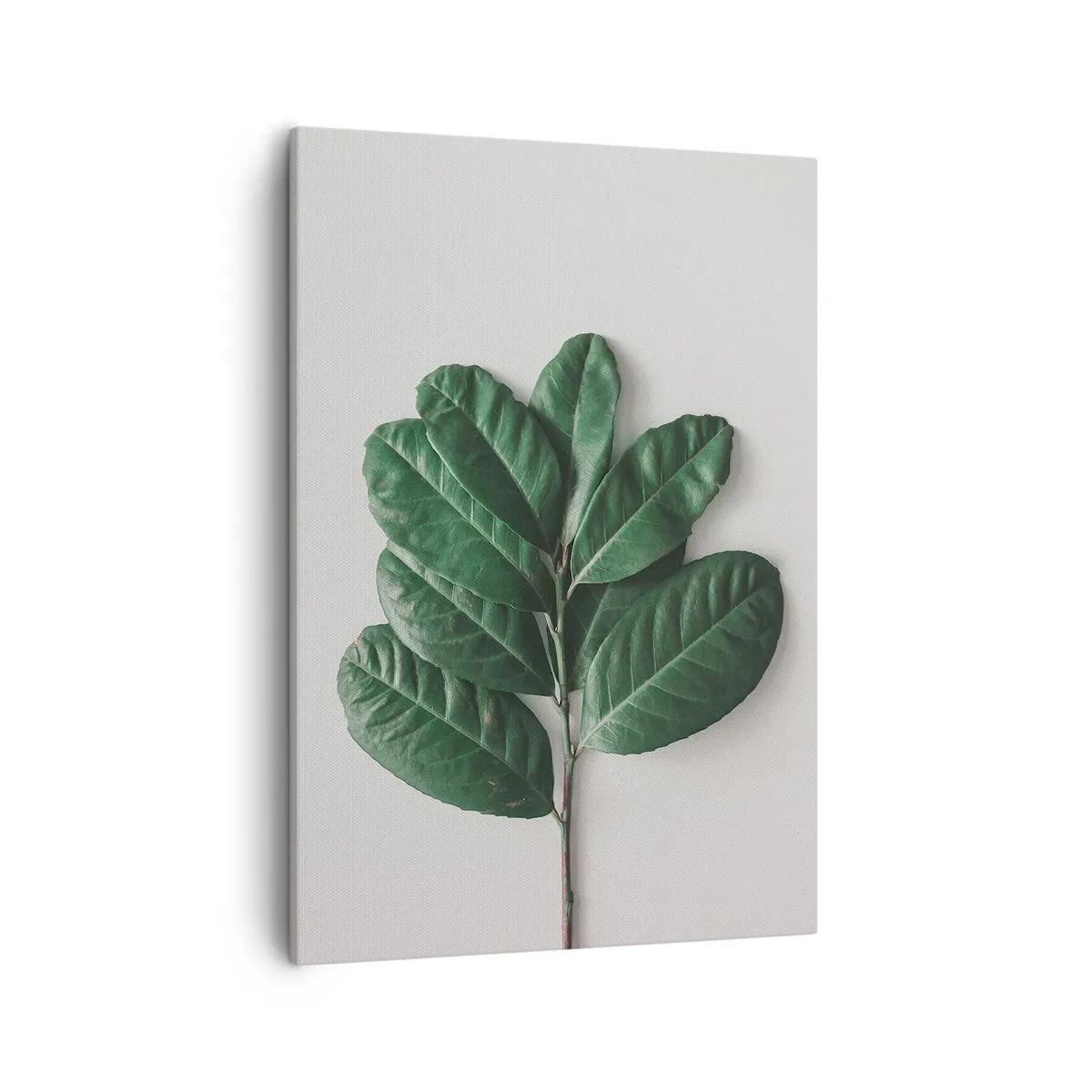 Impression sur toile - Image sur toile - Un brin de feuilles vertes sur un fond clair - 50x70cm - Dessin de la nature elle-même - Décoration murale moderne pour le salon et la chambre ARTTOR