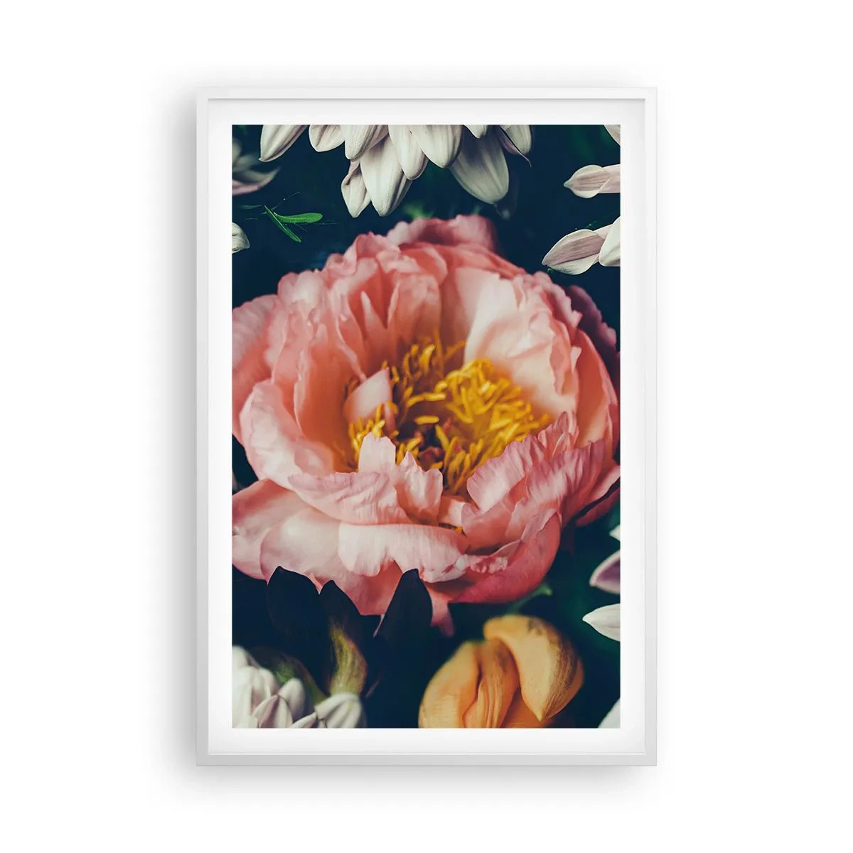 Affiche dans un cadre blanc - Poster - Splendeur baroque - 61x91 cm