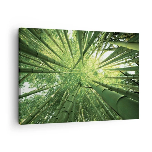 Impression sur toile - Image sur toile - Vue à travers une bambouseraie verte - 70x50cm - Dans une bambouseraie - Décoration murale moderne pour le salon et la chambre ARTTOR