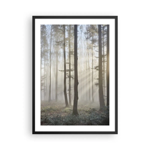 Affiche dans un cadre noir - Poster - Un matin brumeux dans la forêt avec des rayons de soleil - 50x70cm - Le brouillard s'est aussi réveillé - Décoration murale moderne pour le salon et la chambre ARTTOR
