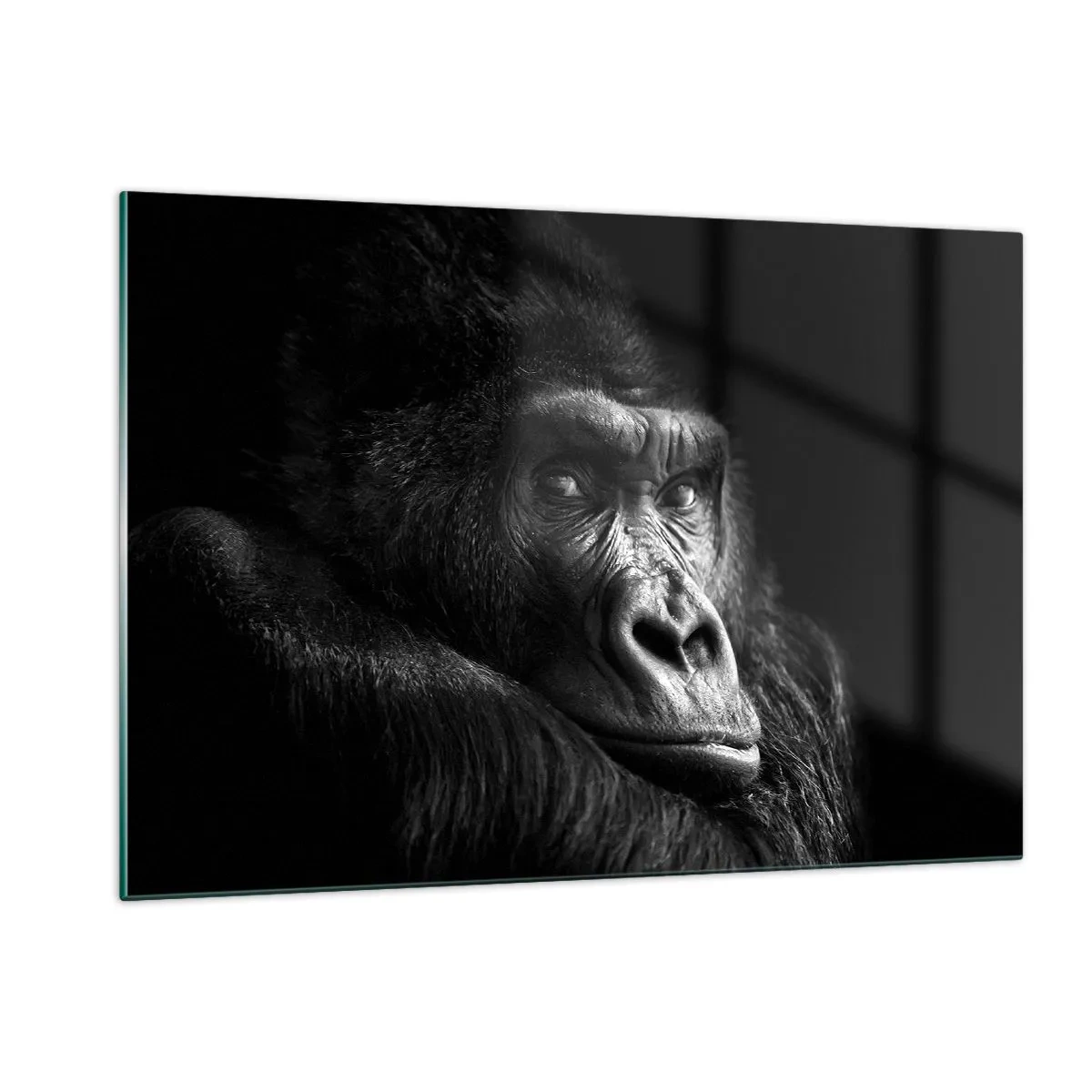Impression sur verre - Image sur verre - Portrait noir et blanc d'un gorille à l'ombre d'une fenêtre - 120x80cm - Et qu'est-ce que tu regardes? - Décoration murale moderne pour le salon et la chambre ARTTOR