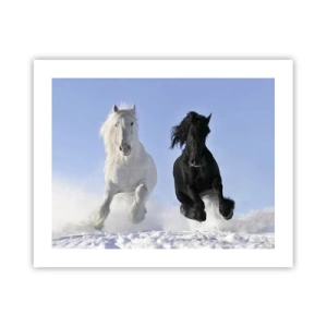 Affiche - Poster - Galop noir et blanc - 50x40 cm