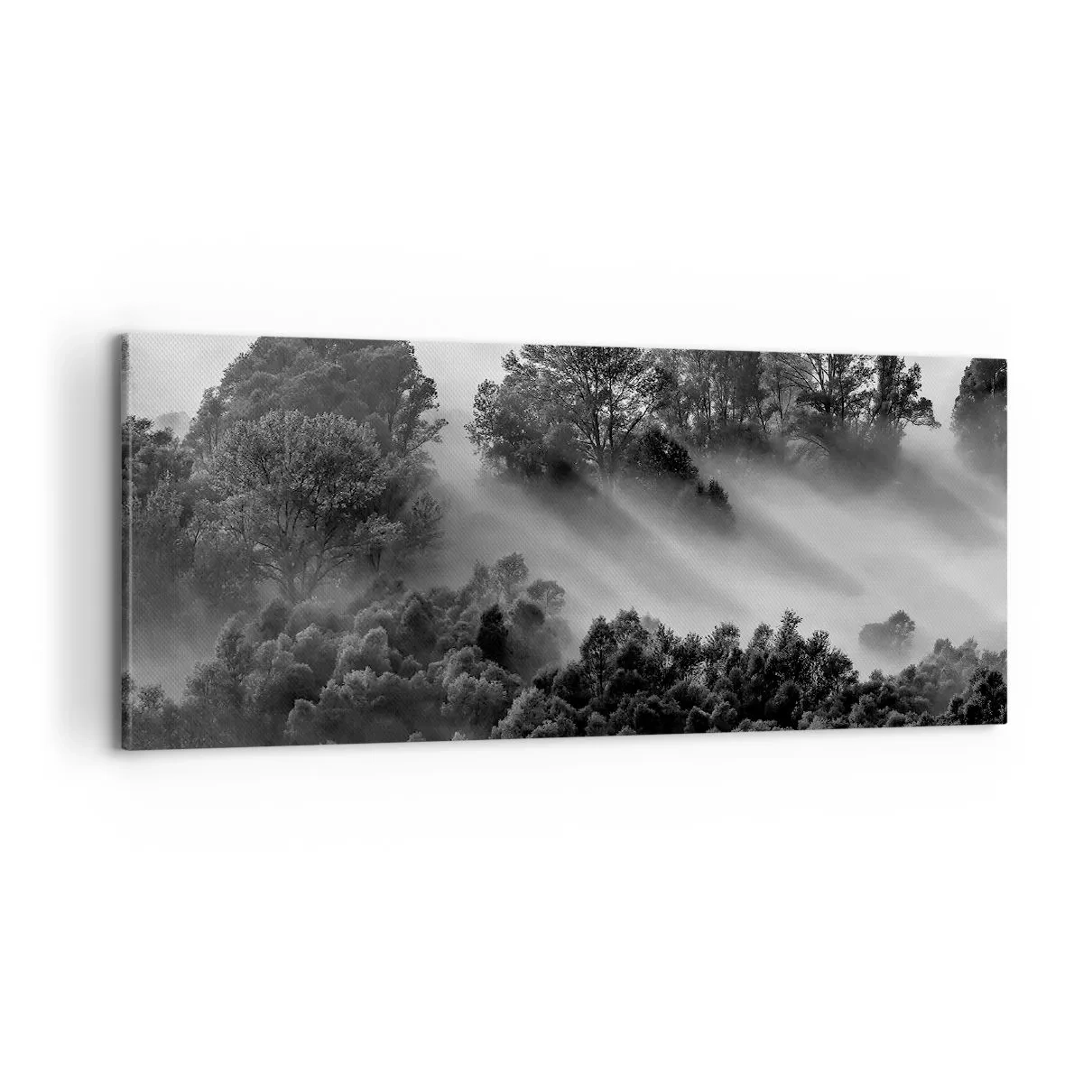 Impression sur toile - Image sur toile - Sortir de son sommeil - 100x40 cm