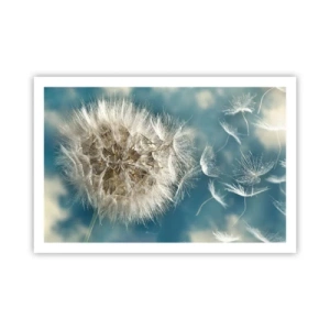 Affiche - Poster - souffle d'ange - 91x61 cm