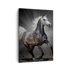 Impression sur toile - Image sur toile - Un cheval blanc galopant sur un fond sombre - 50x70cm - Le gris est beau - Décoration murale moderne pour le salon et la chambre ARTTOR