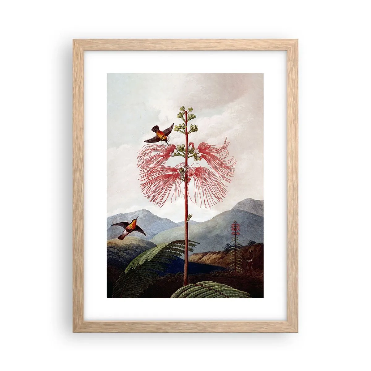 Affiche dans un chêne clair - Poster - Dans un paradis tropical - 30x40 cm