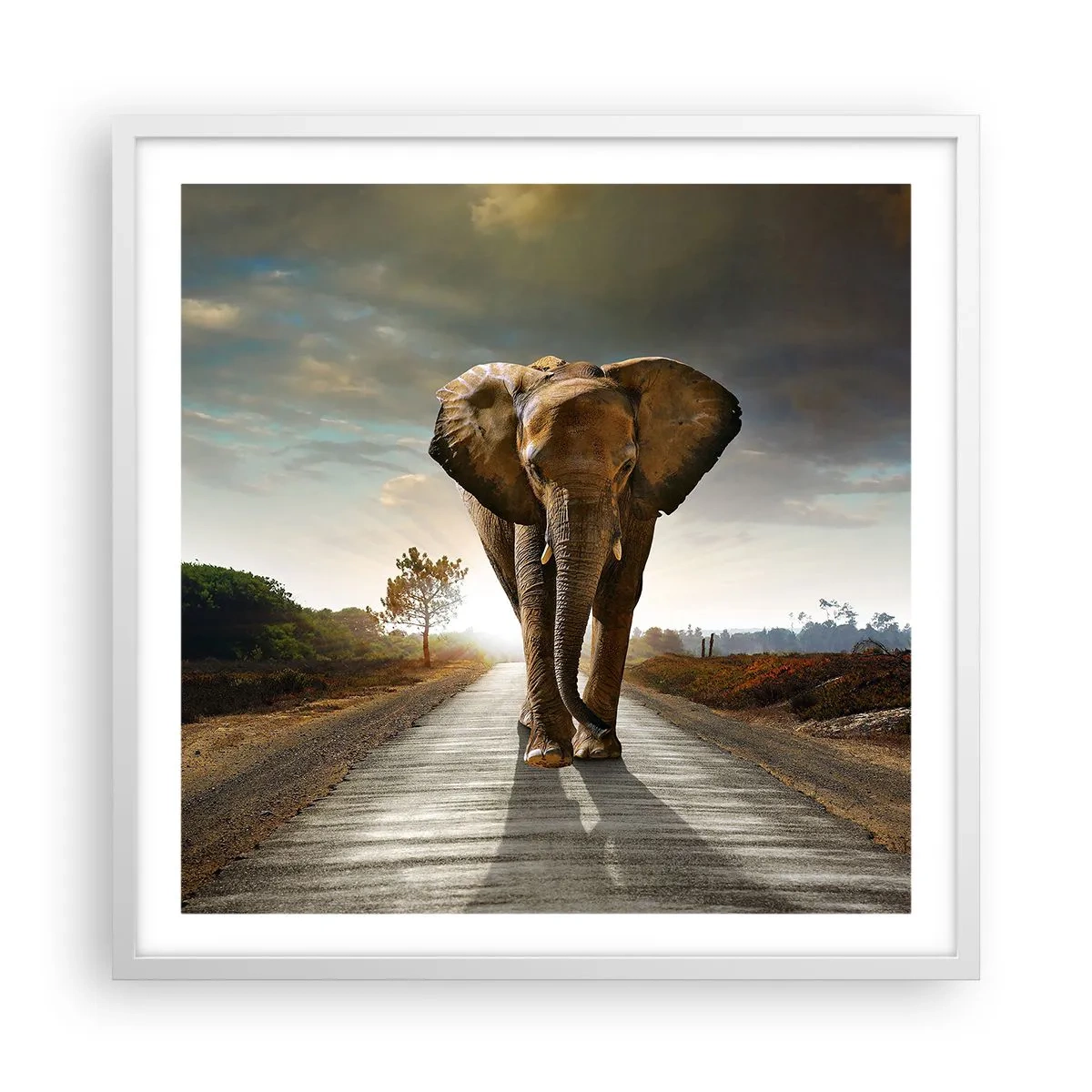 Affiche dans un cadre blanc - Poster - Et pas du tout en porcelaine - 60x60 cm