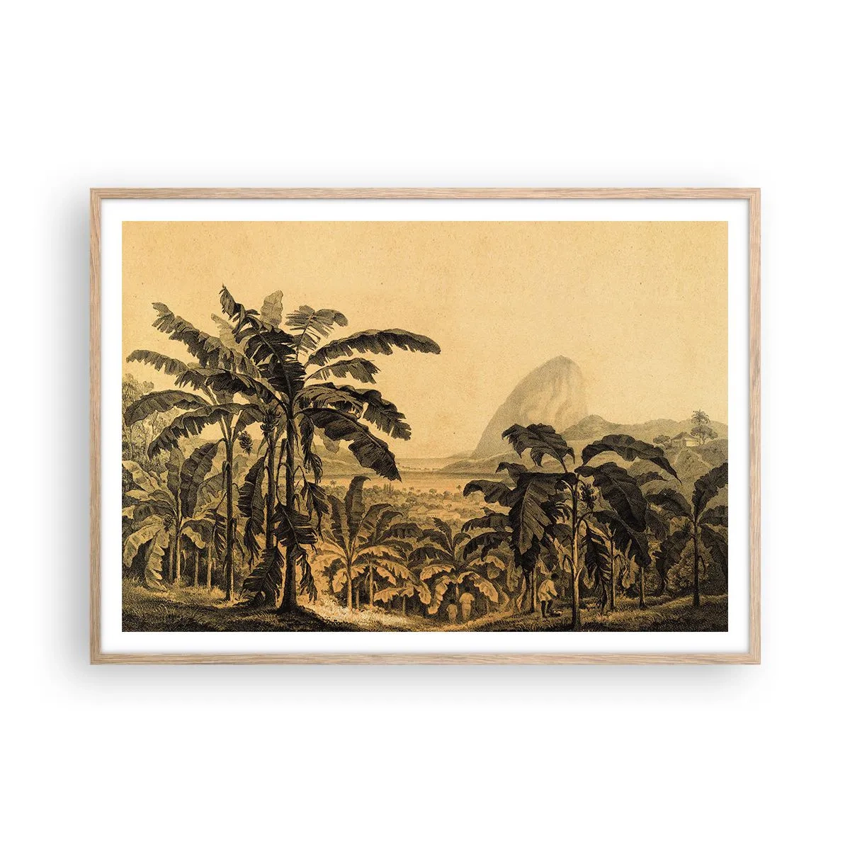 Affiche dans un chêne clair - Poster - Dans un climat colonial - 100x70 cm