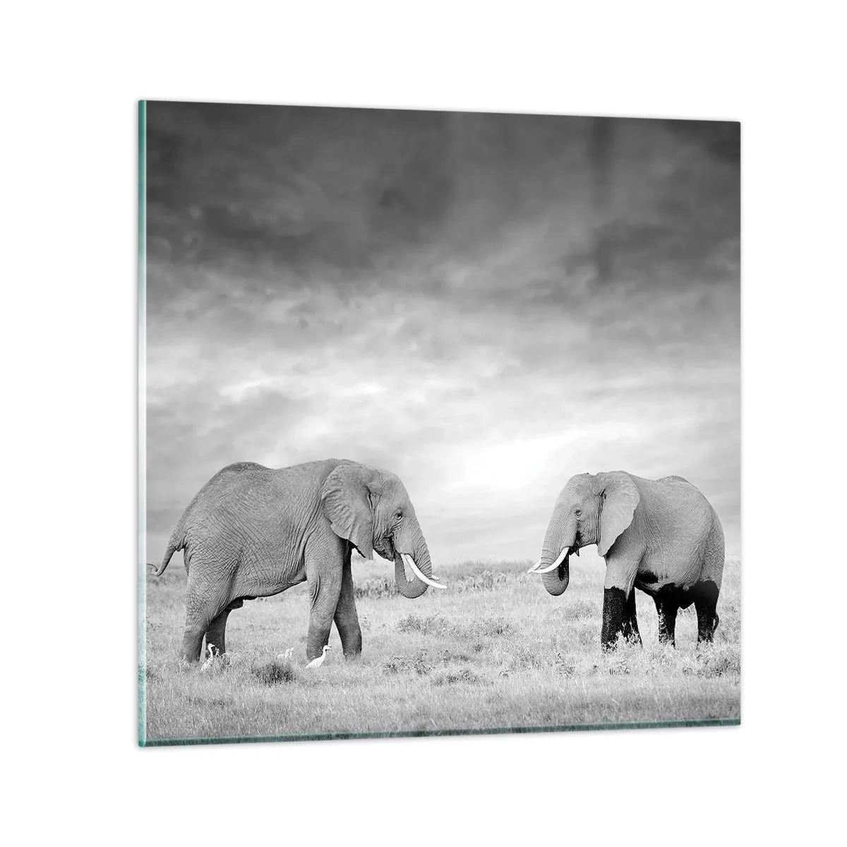 Impression sur verre - Image sur verre - Le gris est beau - 30x30 cm