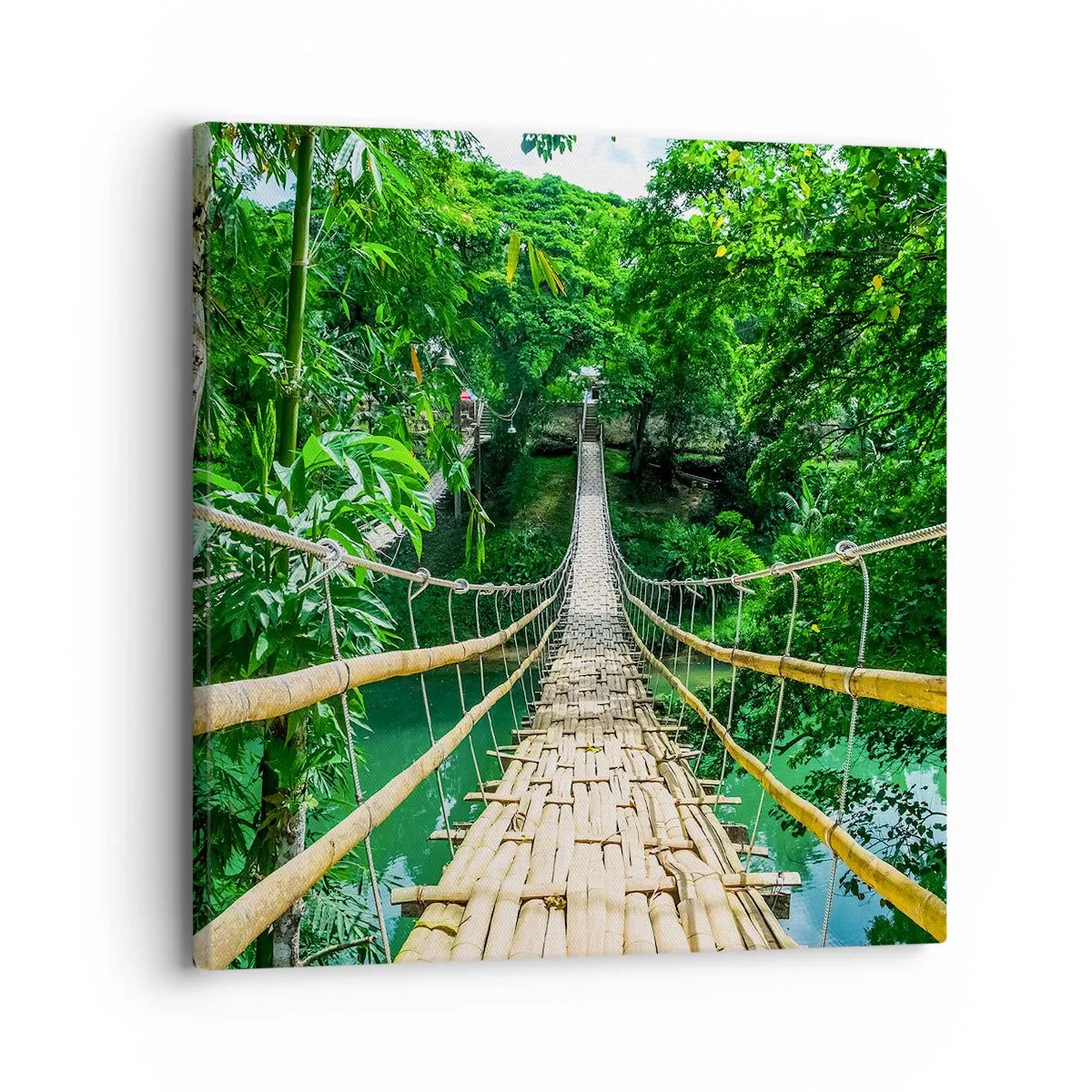 Impression sur toile - Image sur toile - Pont de singe en pleine nature - 30x30 cm