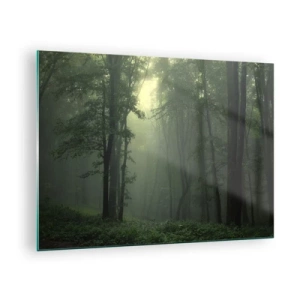 Impression sur verre - Image sur verre - Une forêt sombre enveloppée de brouillard avec des rayons de lumière - 70x50cm - Avant qu'il ne se réveille - Décoration murale moderne pour le salon et la chambre ARTTOR