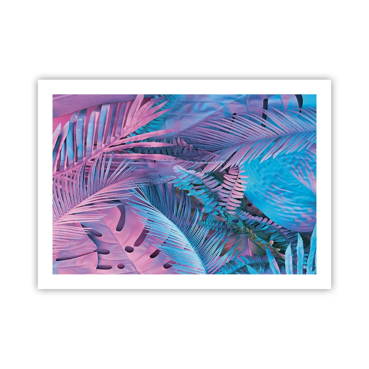 Affiche - Poster - Les tropiques en rose et bleu - 70x50 cm