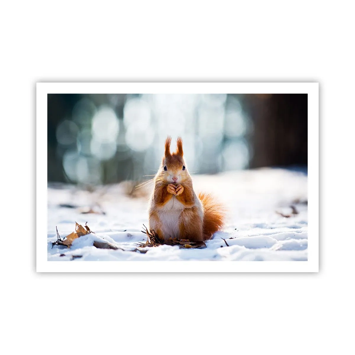 Affiche - Poster - Qu'est ce que tu regardes comme ça? - 91x61 cm