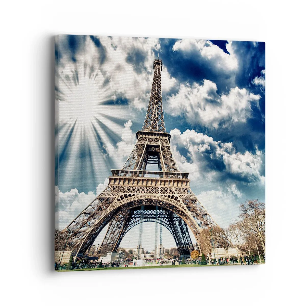 Impression sur toile - Image sur toile - La seule et unique sous le soleil - 40x40 cm