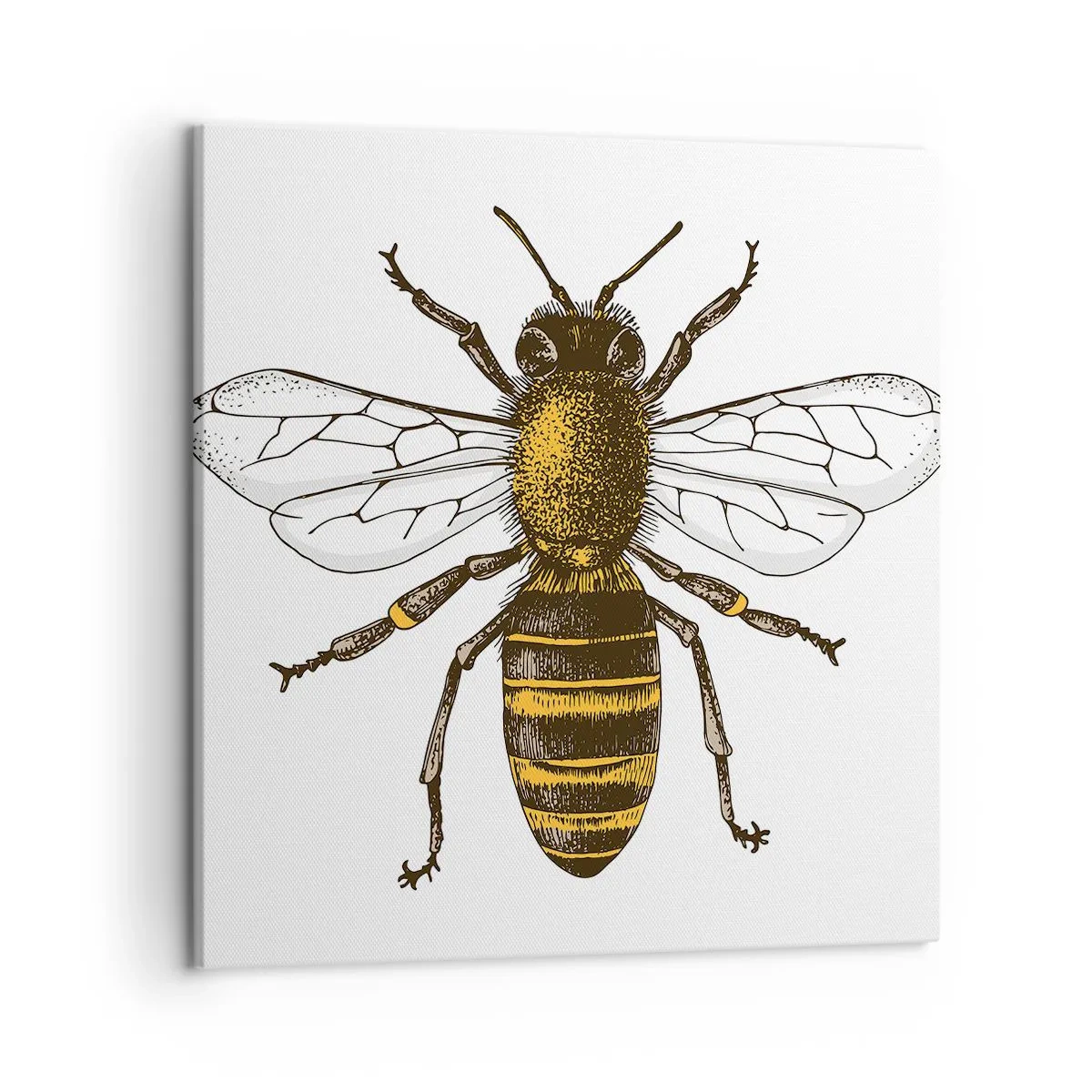 Impression sur toile - Image sur toile - Belle et bonne - 50x50 cm