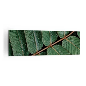 Impression sur toile - Image sur toile - Macro shot de feuilles vertes avec des gouttes de rosée - 160x50cm - Au rythme de la verdure - Décoration murale moderne pour le salon et la chambre ARTTOR