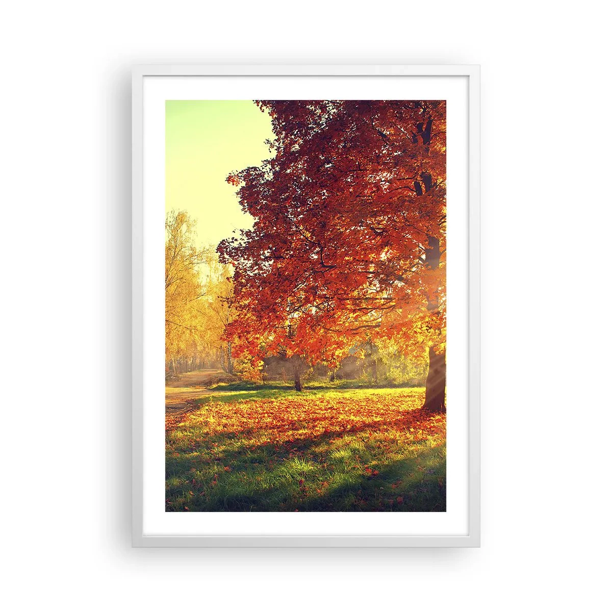 Affiche dans un cadre blanc - Poster - Le roux est beau - 50x70 cm