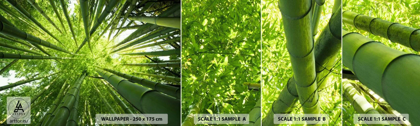 Échantillon De Papier Peint Standard Eco - Dans une bambouseraie - Foret de bambou, Jungle, Bambou - 100x30 cm