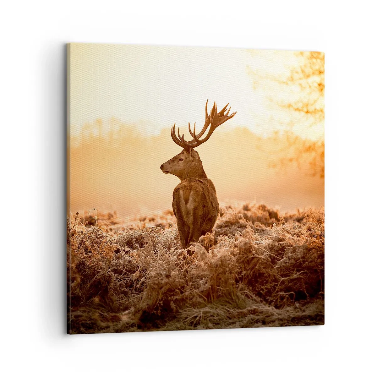 Impression sur toile - Image sur toile - Seigneur du domaine - 50x50 cm