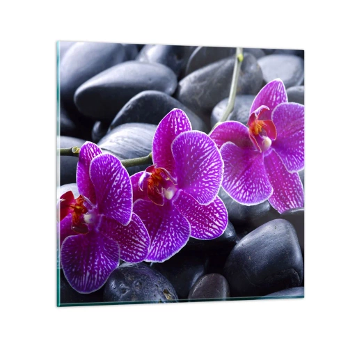 Impression sur verre - Image sur verre - Les pierres brillaient de joie - 30x30 cm