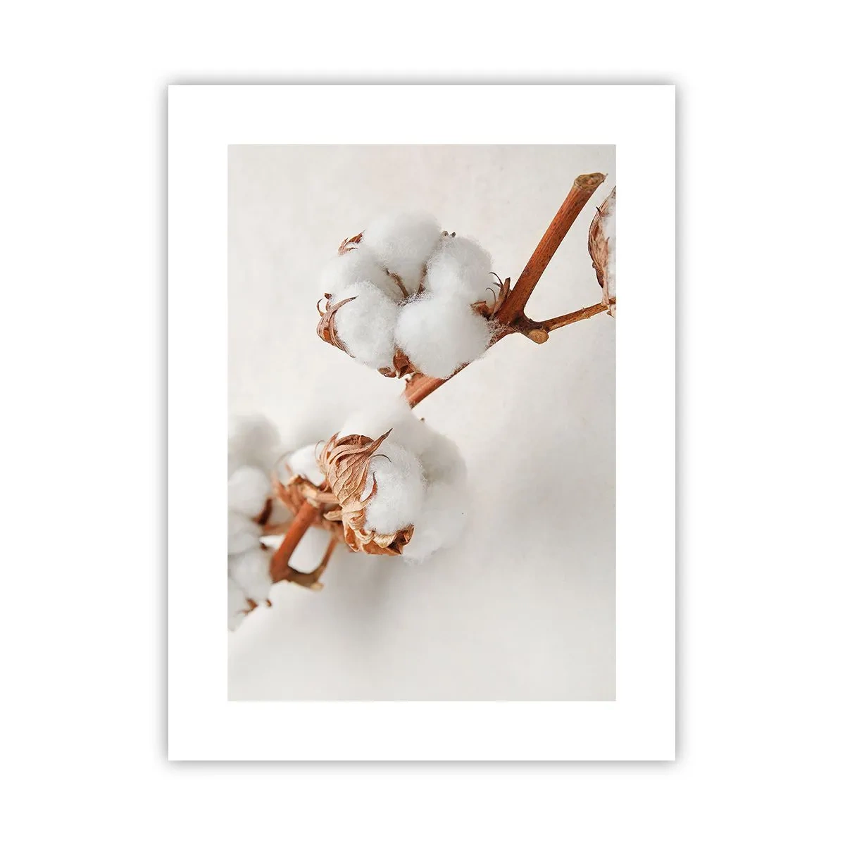 Affiche - Poster - Seulement caliner - 30x40 cm