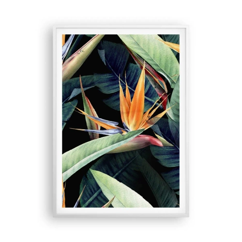 Affiche dans un cadre blanc - Poster - Fleurs flamboyantes des tropiques - 70x100 cm