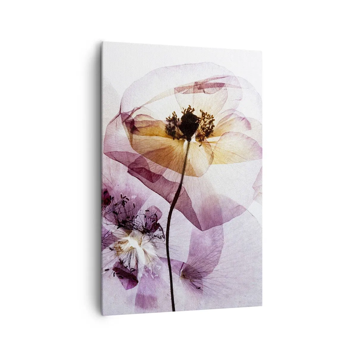Impression sur toile - Image sur toile - Fleurs délicates et transparentes aux tons pastel - 80x120cm - Corps de fleurs transparente - Décoration murale moderne pour le salon et la chambre ARTTOR