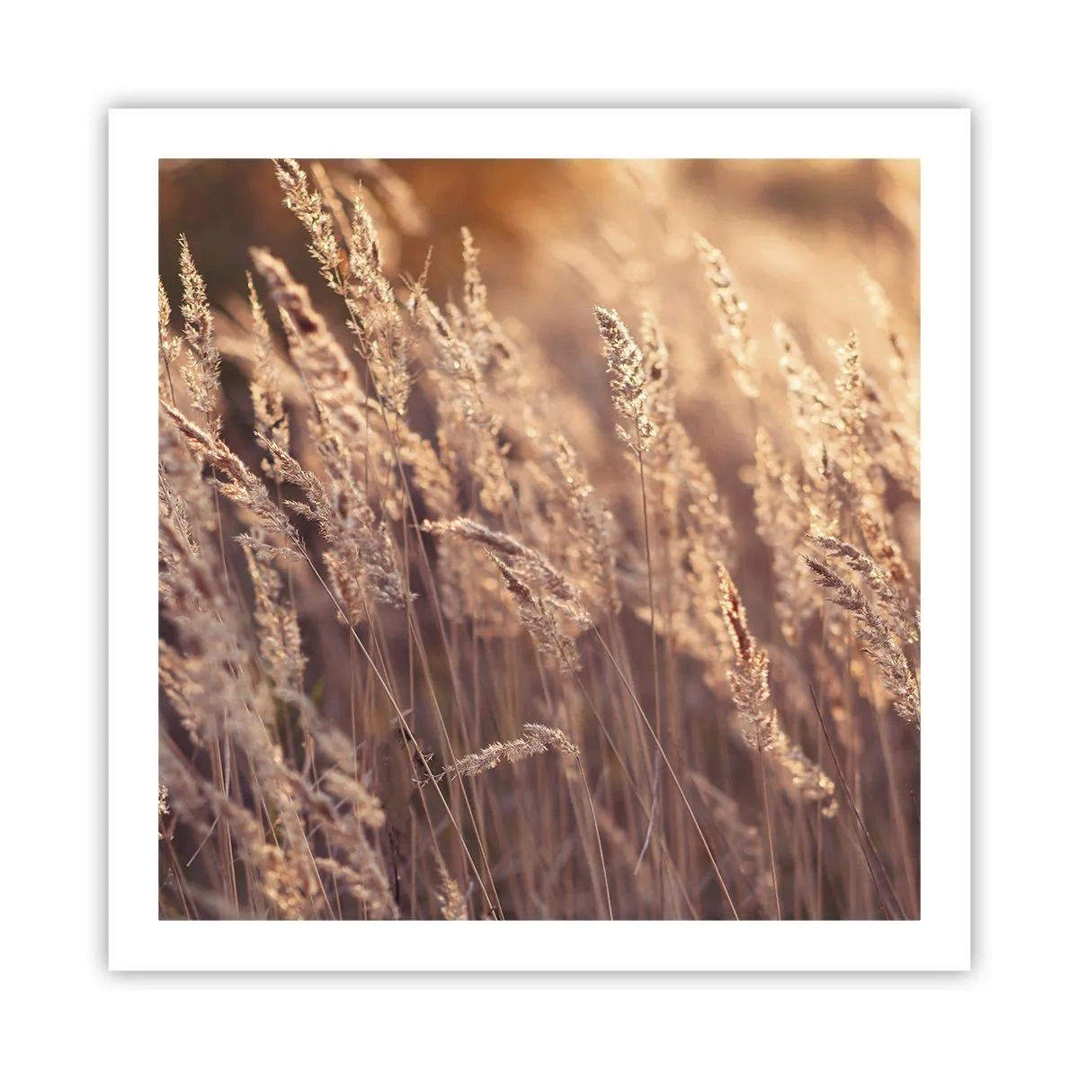 Affiche - Poster - Prêt à accueillir l'automne - 60x60 cm