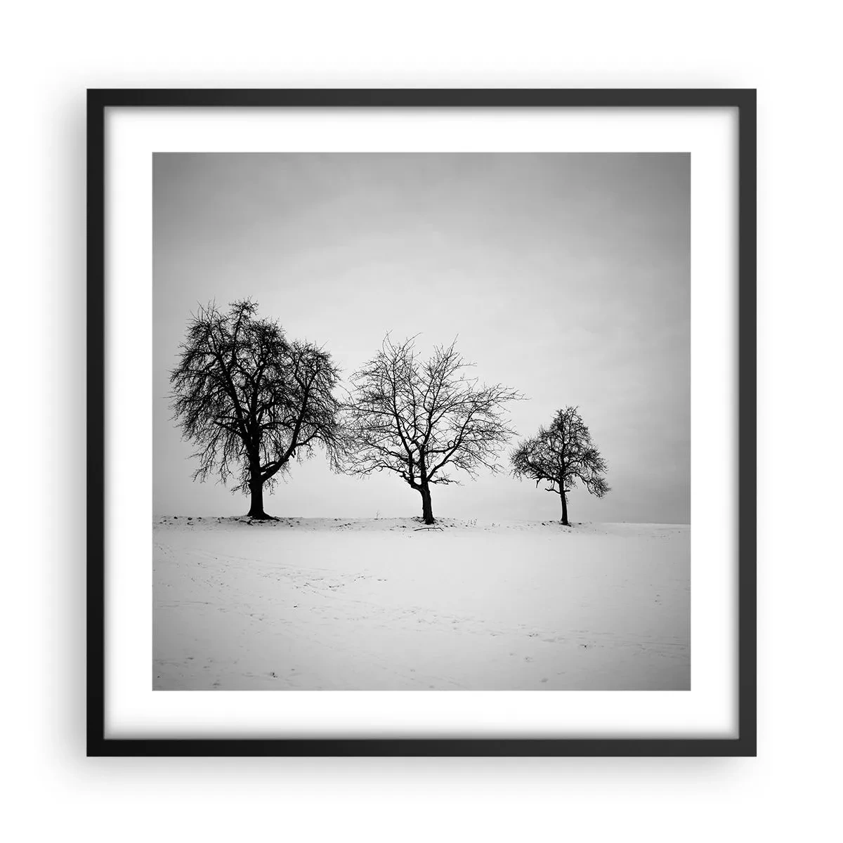 Affiche dans un cadre noir - Poster - A quoi rêvent-ils? - 50x50 cm