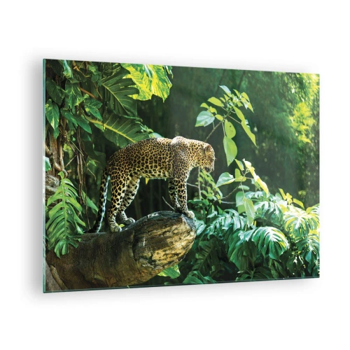 Impression sur verre - Image sur verre - Léopard sur un rocher dans la jungle tropicale - 70x50cm - À la chasse? - Décoration murale moderne pour le salon et la chambre ARTTOR