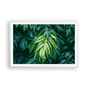 Affiche dans un cadre blanc - Poster - Immergez-vous dans la fraîcheur - 91x61 cm