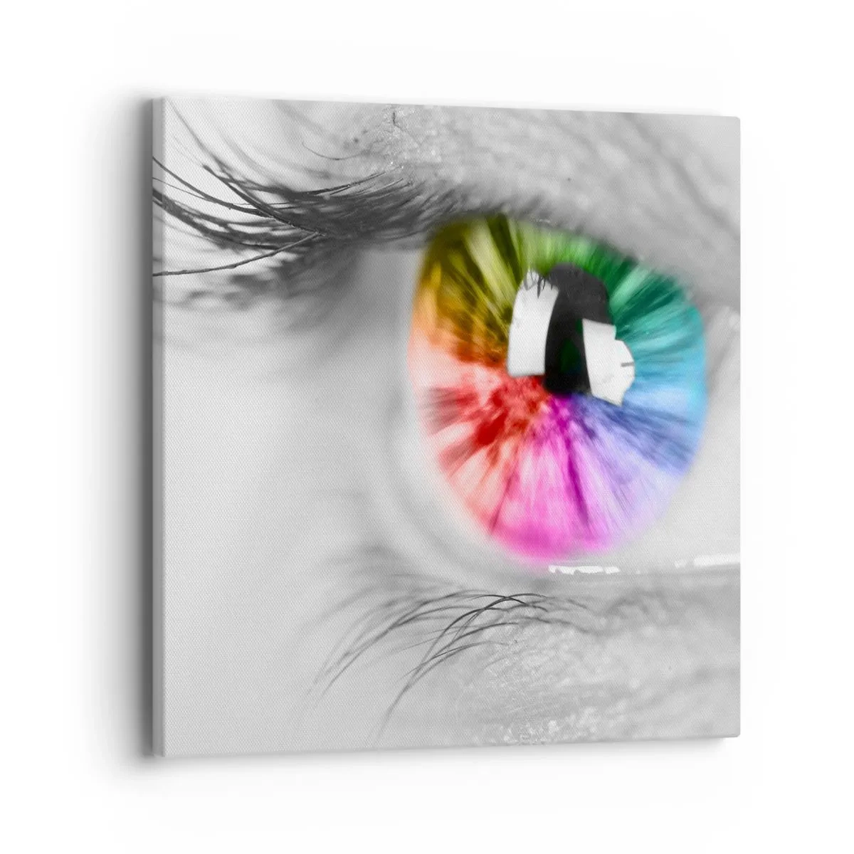 Impression sur toile - Image sur toile - Regarde le monde en couleur - 40x40 cm